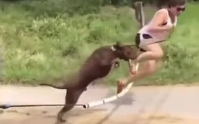 Most Hilarious Dog Training Ever - Animals - VIDEOTIME.COM