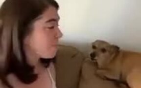 Singing Dog Interrupts Mother