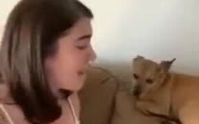 Singing Dog Interrupts Mother