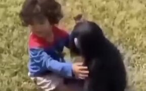 Human Baby And Ape Baby Sharing Some Love