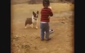 Little Kid Playing Baseball With Dog - Animals - VIDEOTIME.COM