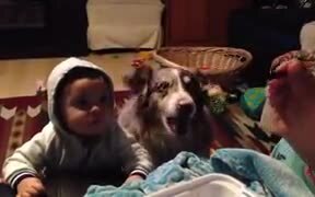 Dog Saying Mama!