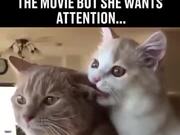 When Your Bae Wants Attention On Movie Night