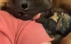 Dog Snoring Funnily On A Human's Shoulder