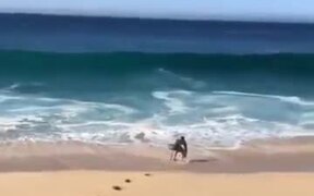Just A Surfer Thing - Sports - VIDEOTIME.COM
