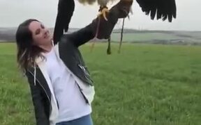 A Damn Big Trained Eagle - Animals - VIDEOTIME.COM