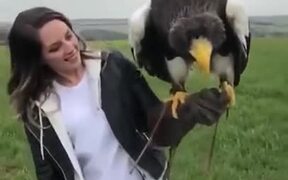 A Damn Big Trained Eagle