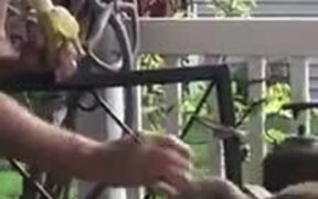 Man Playing With An Adorable Squirrel - Animals - VIDEOTIME.COM