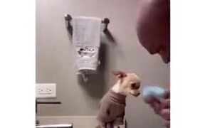 Dad With A Dog He Didn't Want - Animals - VIDEOTIME.COM