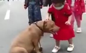 Small Girl Does Not Want To Leave A Dog