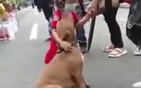 Small Girl Does Not Want To Leave A Dog - Animals - VIDEOTIME.COM