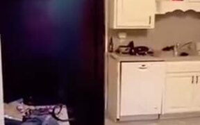 Dog Does Not Want To Take A Shower - Animals - VIDEOTIME.COM