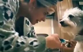 New Ingenious Technique To Cut Dog's Nail