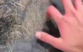 When Doggo Loves Breaking Ice - Animals - VIDEOTIME.COM