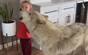 Kid Howls, Dog Howls, Everyone Howls! - Animals - VIDEOTIME.COM