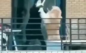 Dog And Owner Fight It Out!