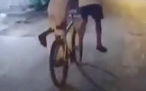 When You Both Want To Ride The Bicycle - Fun - VIDEOTIME.COM