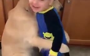 Toddler Hugs Dog, Dog Hugs Back - Animals - VIDEOTIME.COM
