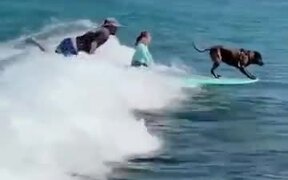 What Surfing Dreams Are Made Of? - Sports - VIDEOTIME.COM