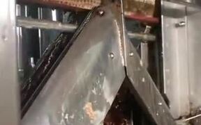 Machine Extracting Pure Honey