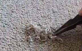 An Interesting Carpet Fixing