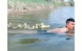 When Too Many Ducklings Are After You - Animals - VIDEOTIME.COM