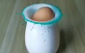 An Egg Drop Can Be So Satisfying