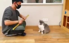 Cat With Intense Acting Skill