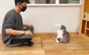 Cat With Intense Acting Skill - Animals - VIDEOTIME.COM