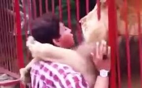 Lion Loving A Lady - Animals - VIDEOTIME.COM