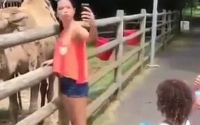 Camel Doesn't Like Duckface Pose - Animals - VIDEOTIME.COM