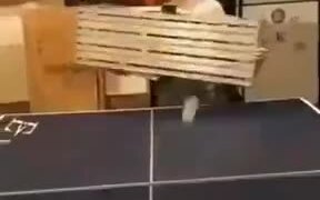 The Most Versatile Table Tennis Match
