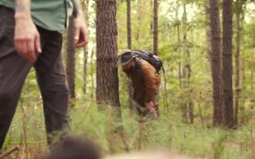 15 Things You Didn't Know About BigFoot Trailer - Movie trailer - VIDEOTIME.COM
