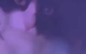 Cat Enjoying A Private Pub - Animals - VIDEOTIME.COM