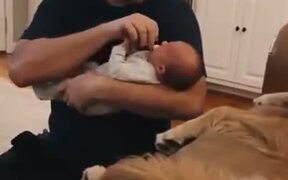 Baby Only Wants To Sleep On Doggo's Lap - Animals - VIDEOTIME.COM