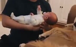 Baby Only Wants To Sleep On Doggo's Lap