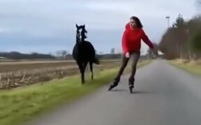 Roller Skating Alongside A Beautiful Horse - Animals - VIDEOTIME.COM