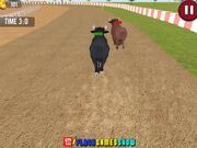 Angry Bull Racing Walkthrough