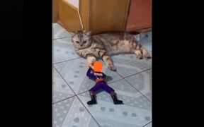 Cute Funny Pets Playing