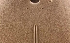 Best Oddly Satisfying Video