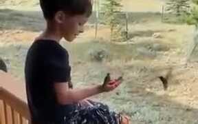 Patient Kid Feeds Hummingbirds From His Hands