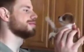 Little Puppy Says 'No' To Kisses - Animals - VIDEOTIME.COM