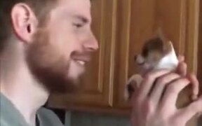 Little Puppy Says 'No' To Kisses - Animals - VIDEOTIME.COM