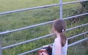 Cows Get Super Interested In Little Girl Playing