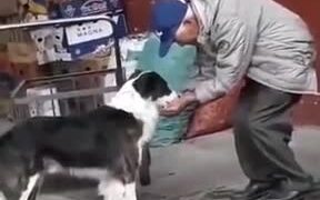 Bringing Water For A Thirsty Dog