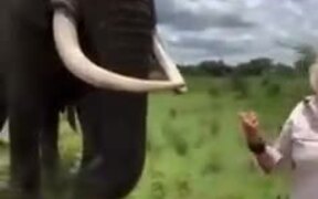 Elephant Literally Pranks A Woman - Animals - VIDEOTIME.COM