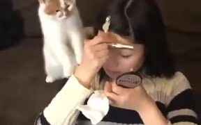 Cats Hate Makeup
