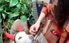 Boy With Devil Horns Listens To A Guitar Music