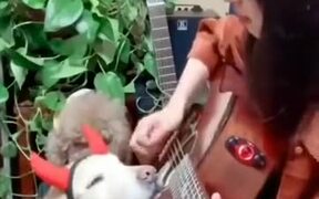 Boy With Devil Horns Listens To A Guitar Music