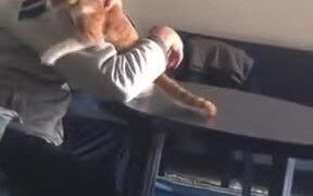 The Cat-Hating Grandpa